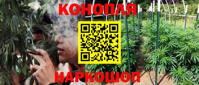 тгк Гусев