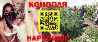 тгк Гусев