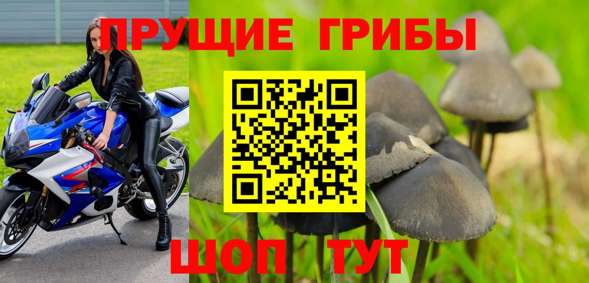 наркота  Галлюциногенные грибы мицелий  Вход с VPN  Псилоцибиновые грибы мухоморы  Карасук 